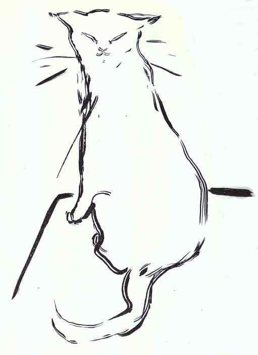 Pierre Bonnard. The Cat.