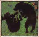 Pierre Bonnard. Two Poodles.