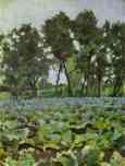 Victor Borisov-Musatov. Cabbage Field with Willows.