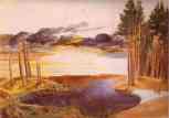 Albrecht Durer. Pond in the Woods.