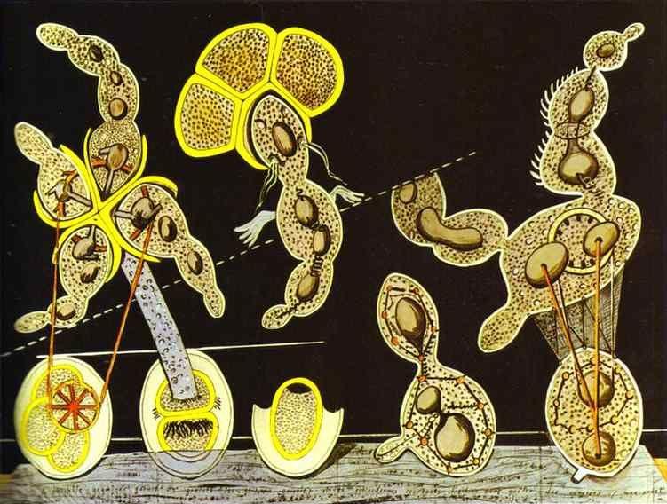 Max Ernst. The Gramineous Bicycle Garnished with Bells the Dappled Fire Damps and the Echinoderms Bending the Spine to Look for Caresses.