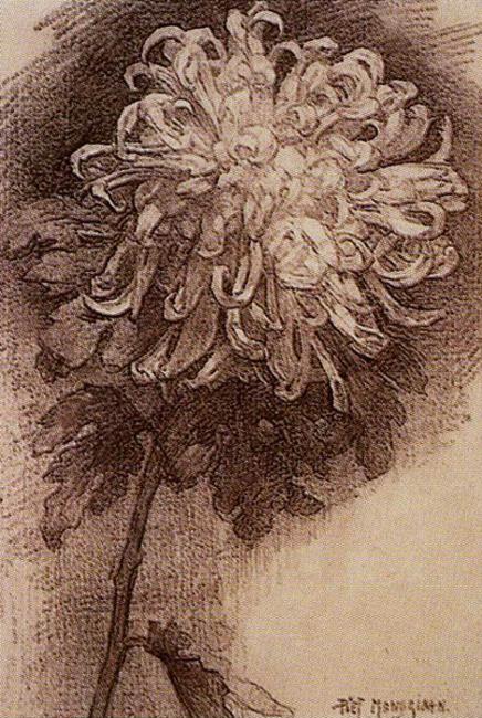 Piet Mondrian. Chrysanthemum / Chrysant.