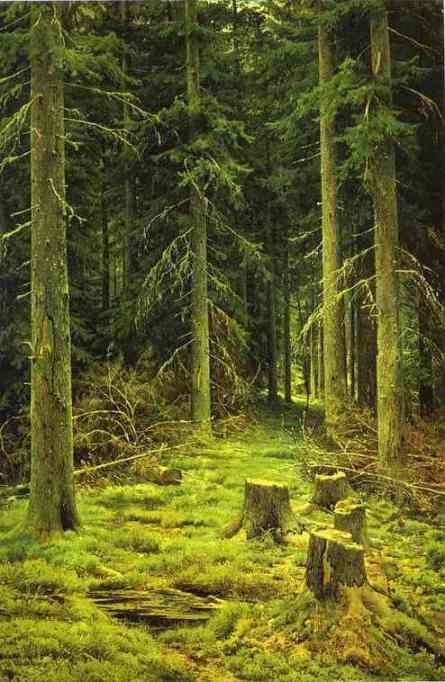 Ivan Shishkin. Coniferous Forest.