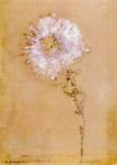 Piet Mondrian. Chrysanthemum. / Chrysant.