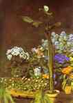 Pierre-Auguste Renoir. Arum and Conservatory
 Plants.